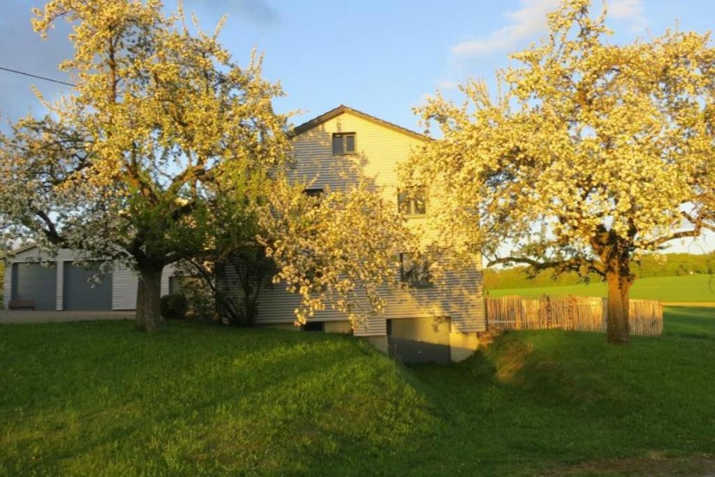 Ferienhaus Taubenhof Simprechtshausen 외부 사진
